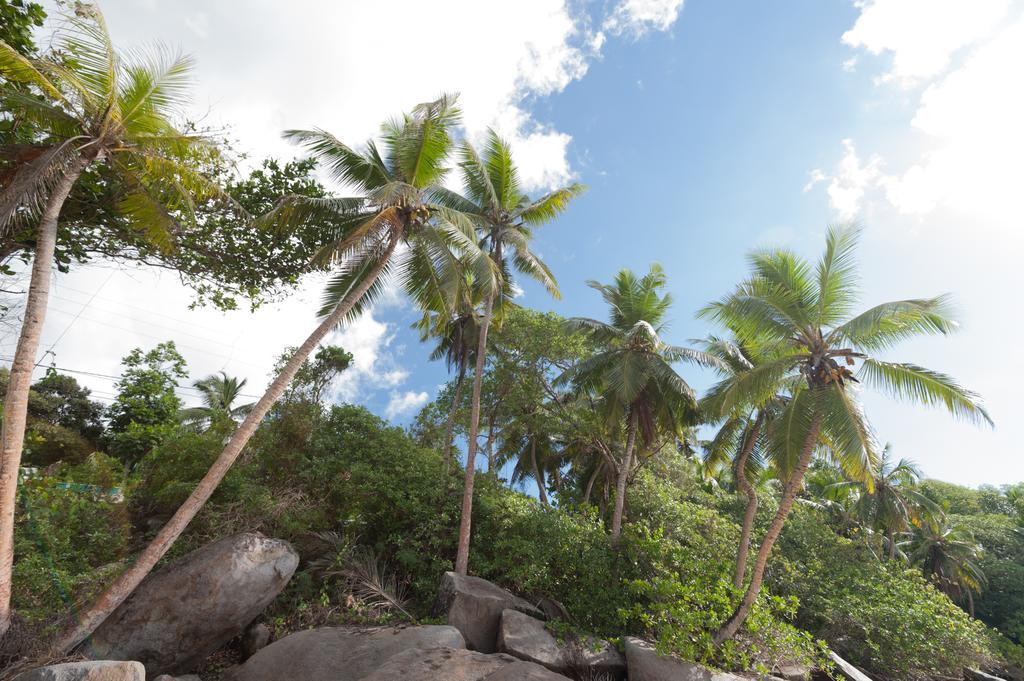 Villa Bel Age Anse Royale Exterior foto