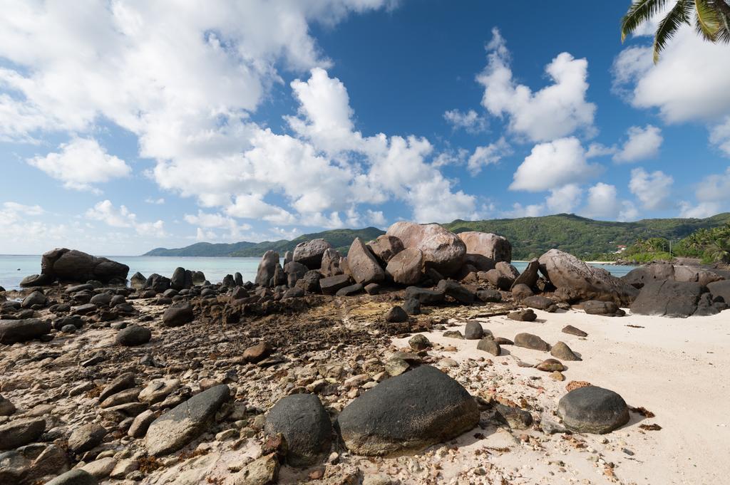 Villa Bel Age Anse Royale Exterior foto